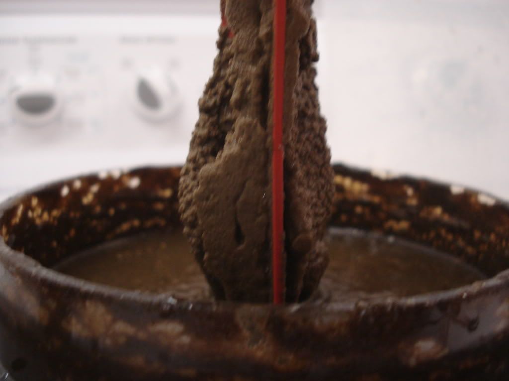 DSC01747.jpg
