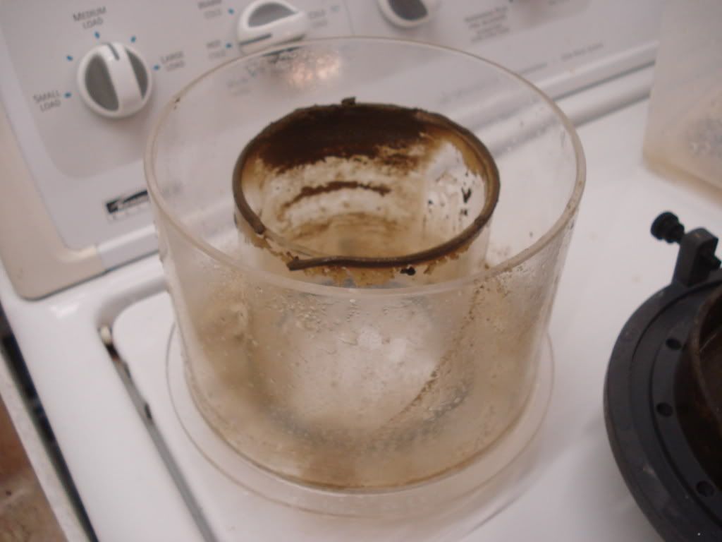 DSC01754.jpg