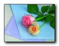 beauty_flowers_gifts_roses_orchids127
