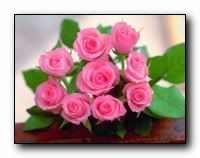 beauty_flowers_gifts_roses_orchids134