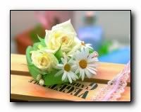 beauty_flowers_gifts_roses_orchids139