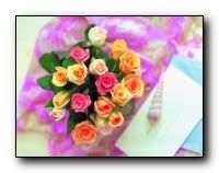 beauty_flowers_gifts_roses_orchids142