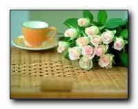 beauty_flowers_gifts_roses_orchids143