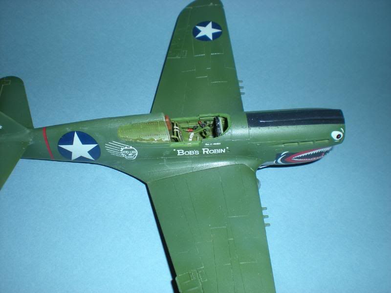 P-40E005.jpg
