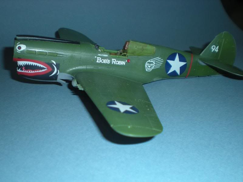 P-40E008.jpg
