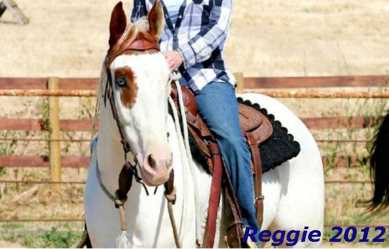 Reggie2012