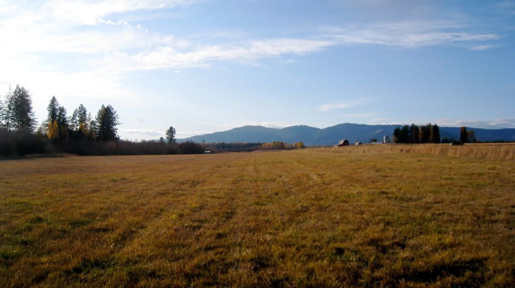 Homestead Pictures Thread.. - Homesteading Questions