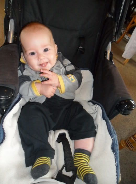 SAM_2956_resize.jpg