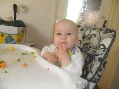 SAM_3628_resize.jpg