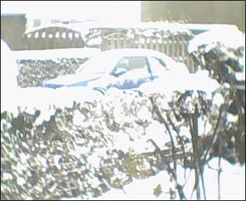 ingesneeuwd.jpg
