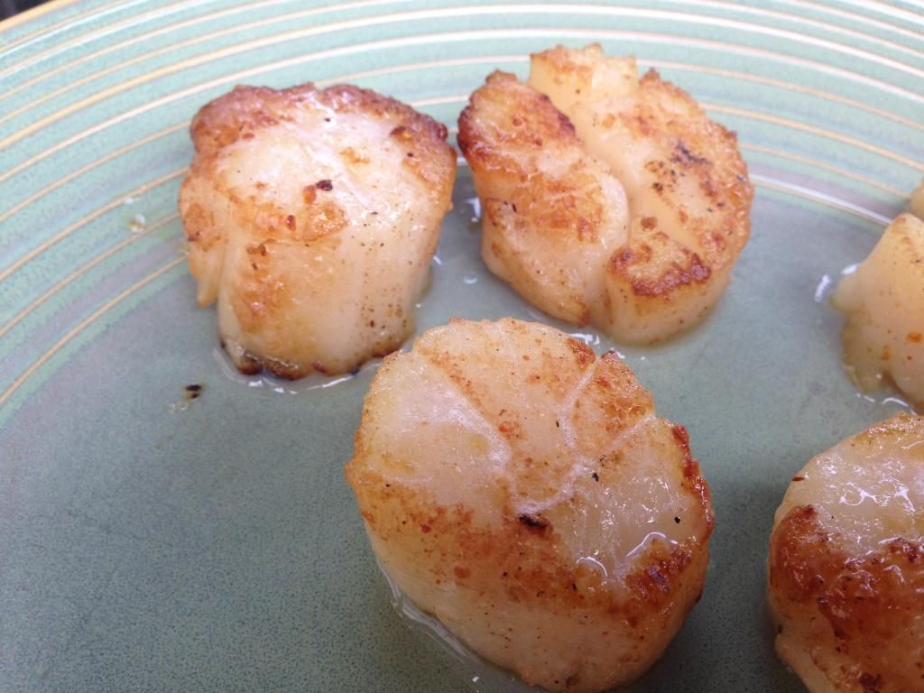 photo 060BD95E-FA83-407D-A47F-05FA43FFCE22_zps5orllozi.jpg