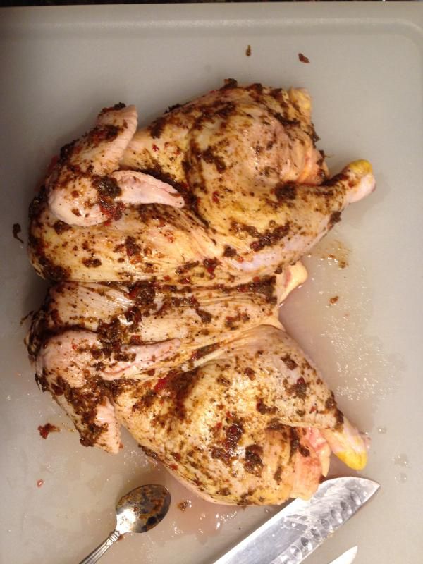 photo 61F82DF2-BB43-4EDA-8284-EFCD3FD2BCD9_zpsfkwdgpkx.jpg