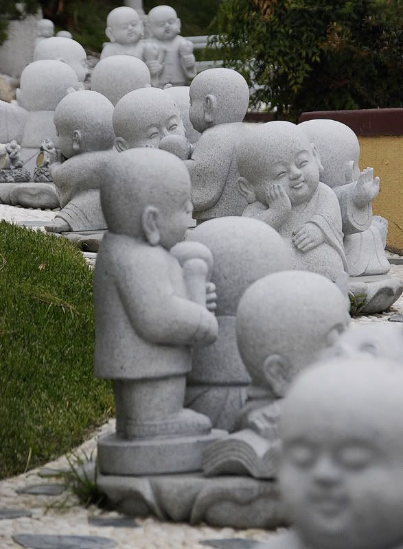 Busy-Buddha-Babies.jpg