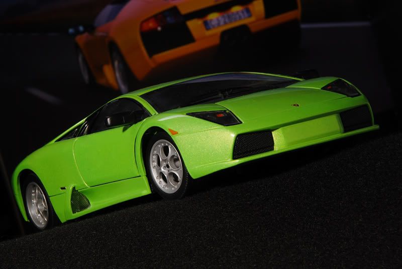 Mucielago-model-DSC_0052.jpg