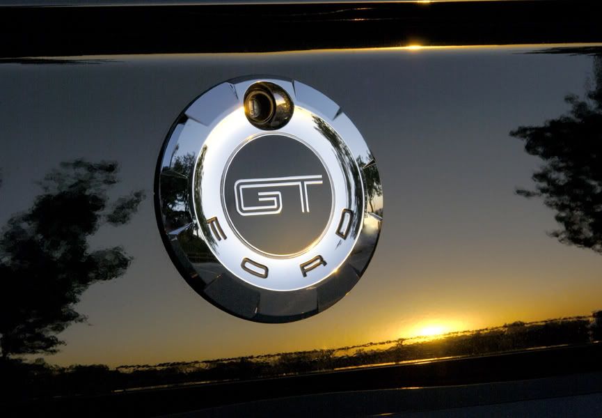 Sals-GT-GT.jpg