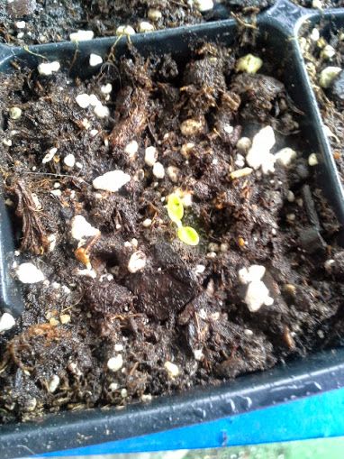  photo 20140803_152651_zpsa48fb2bf.jpg