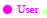 User User