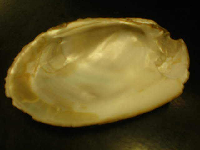 Mother Of Pearl raw