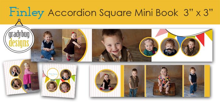 Finley Accordion Album Gradybug Designs | Templates for Photographers | Accordion Album