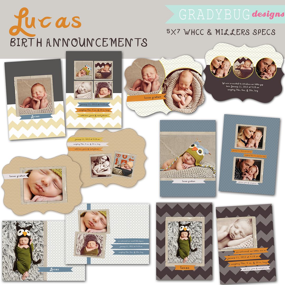 Lucas Birth Announcements Gradybug Designs | Templates for Photographers | Birth Announcements