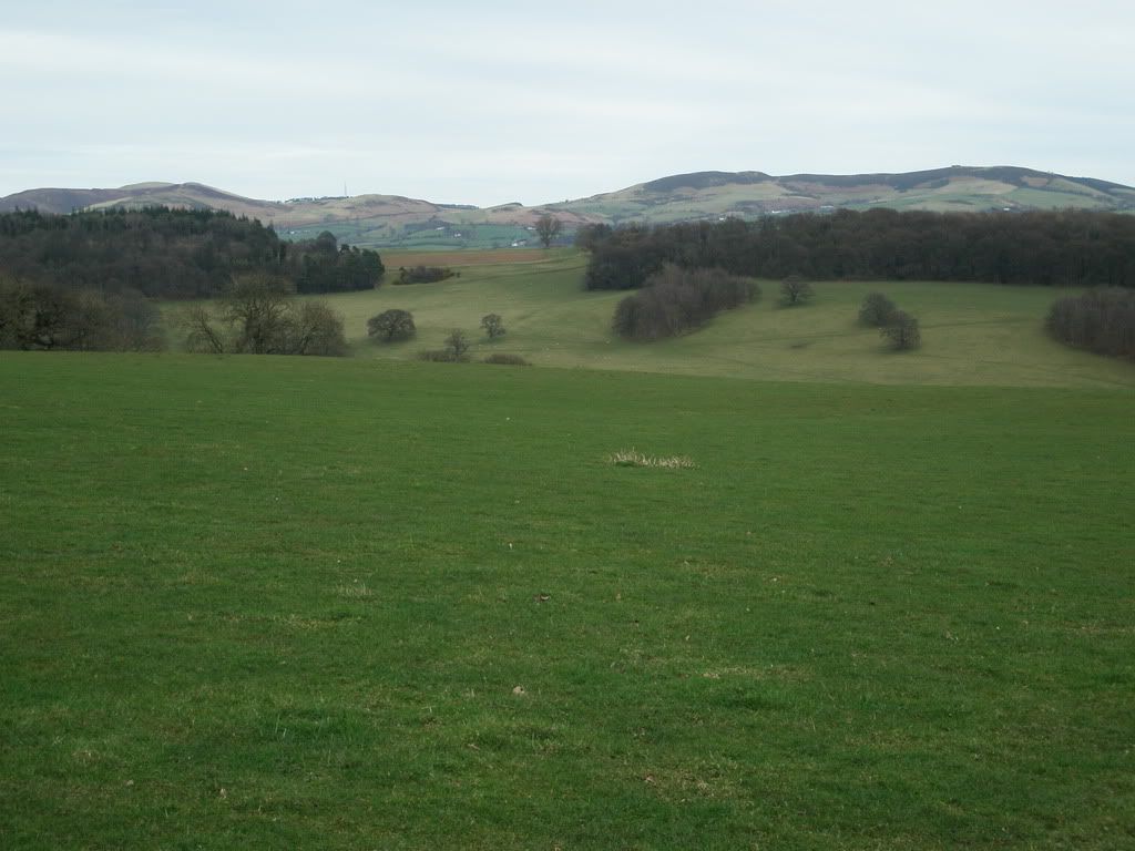 landscape13308.jpg