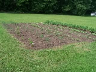 Photos of my place.... - Countryside Families