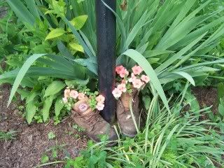 Photos of my place.... - Countryside Families