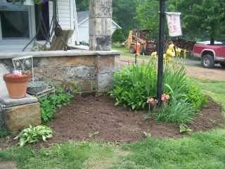 Photos of my place.... - Countryside Families