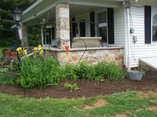 Photos of my place.... - Countryside Families