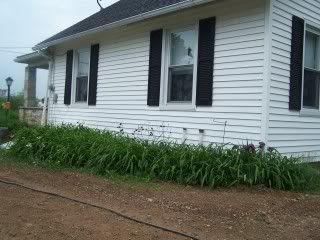 Photos of my place.... - Countryside Families