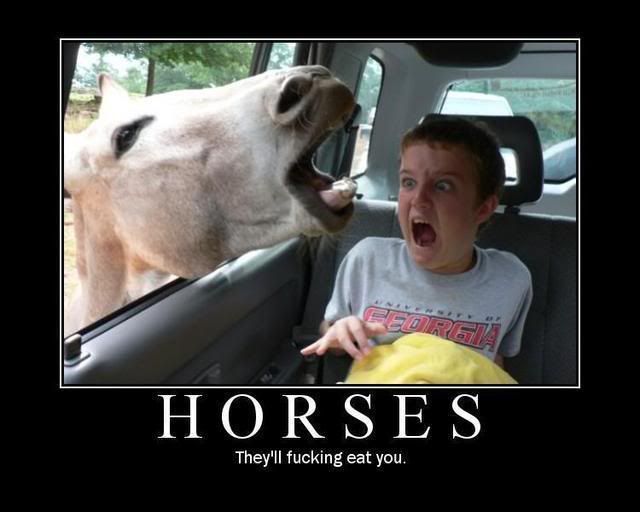 image: Horses