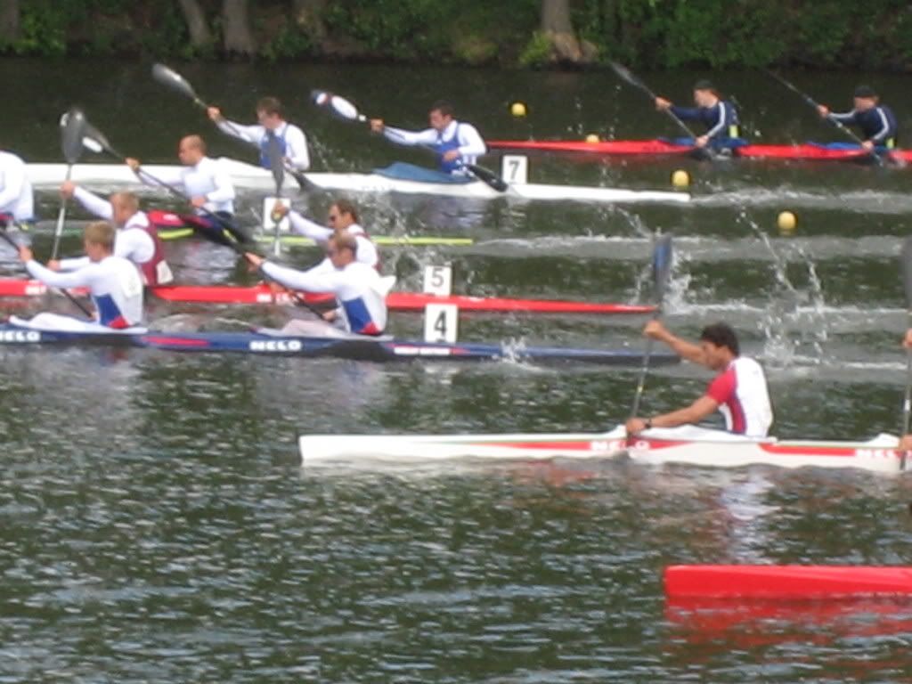 regatta