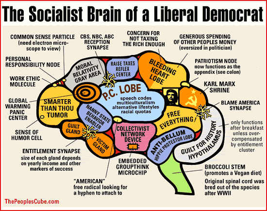 inside the liberal mind