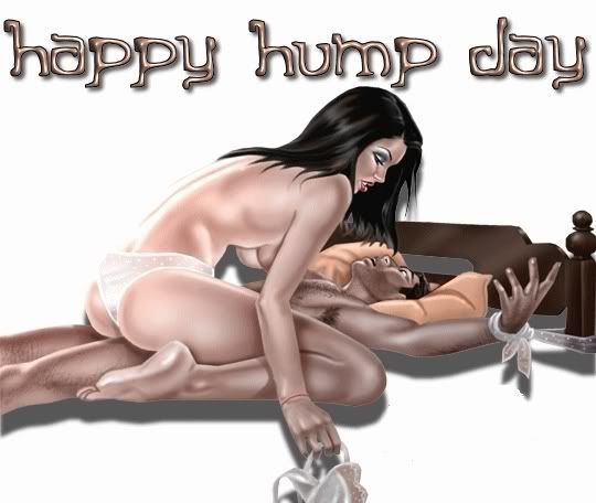 HumpDay Pictures, Images and Photos