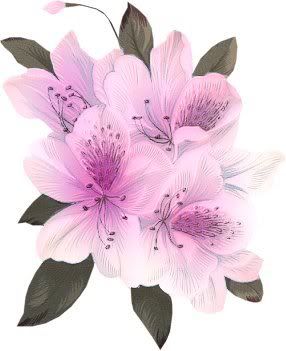 rhododendron.jpg picture by arti810