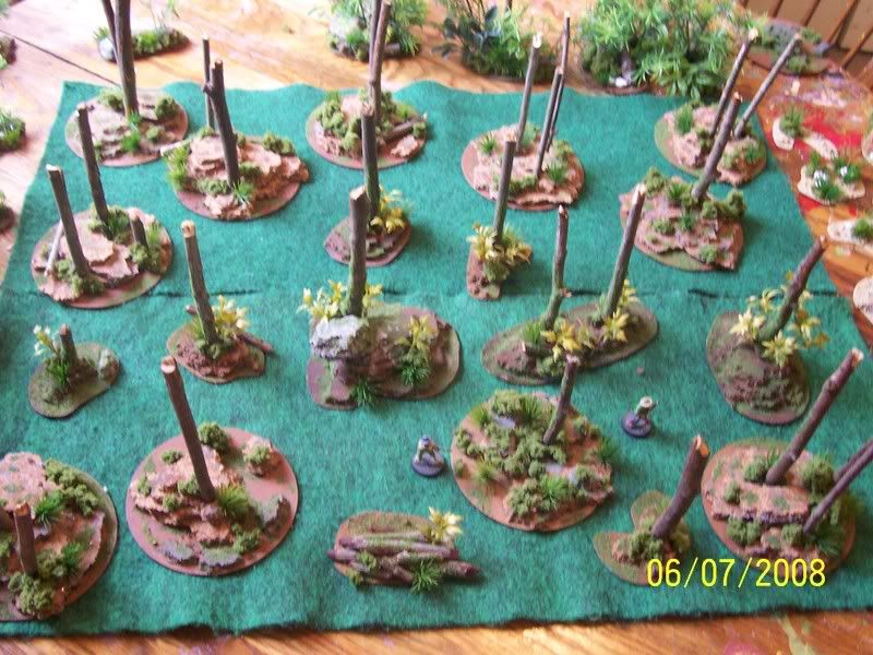 Woodland Terrain