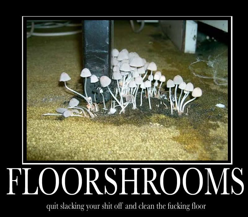 Forum Image: http://i208.photobucket.com/albums/bb227/swordmanXIII/1210917649118.jpg