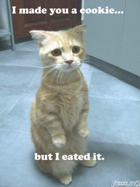 Forum Image: http://i208.photobucket.com/albums/bb227/swordmanXIII/cookie.jpg