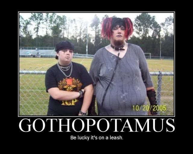 Forum Image: http://i208.photobucket.com/albums/bb227/swordmanXIII/gothopotamus.jpg