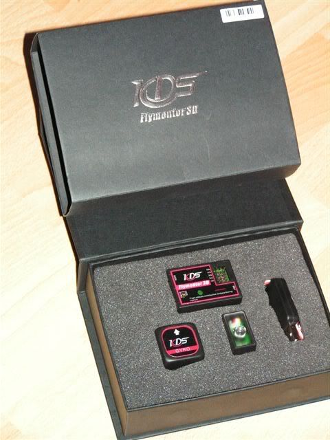 Flymentor004.jpg
