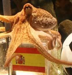 paul Pictures, Images and Photos