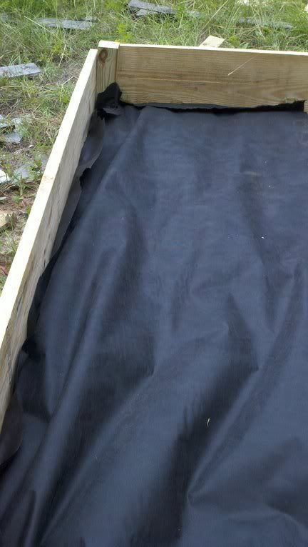 Strawberry bed with landscaping fabric