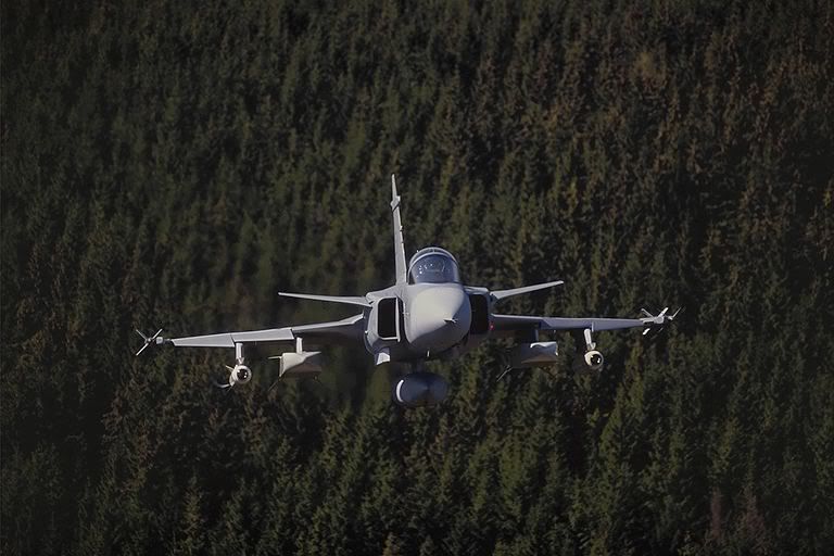 gripen_forest.jpg