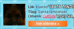 http://i208.photobucket.com/albums/bb248/Oooooooook/Minu%20tehtud/seivas.gif