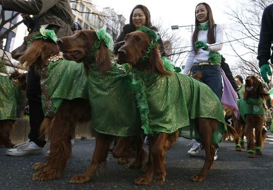 St-Patricks-day-parade-St-015.jpg