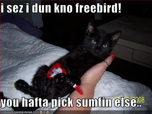 Freebird photo: freebird freebird.jpg