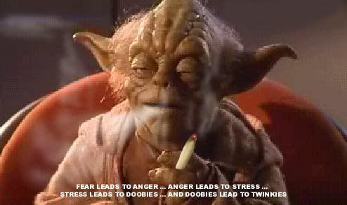 Star Wars Yoda Dog. star wars, pot, yoda,