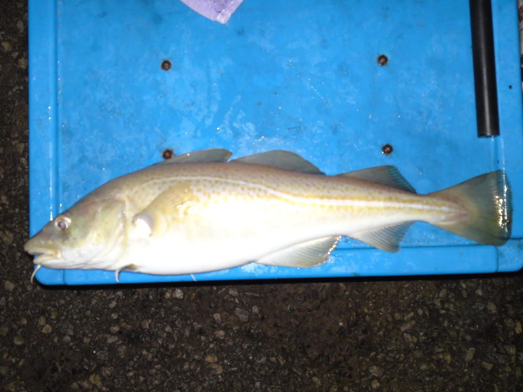 DSC00356.jpg