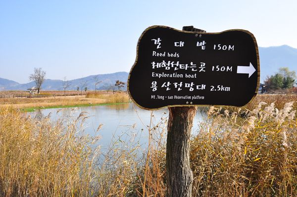 Suncheon Bay photo DSC_0769-1-101120-v2__zps0824808d.jpg