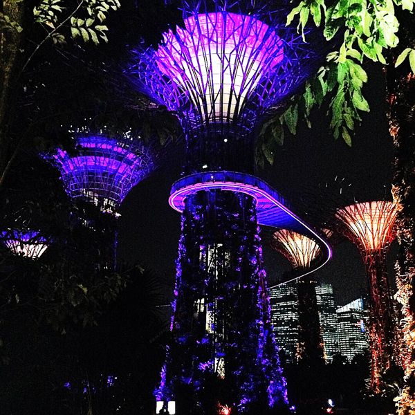 Garden By The Bay Night Garden By The Bay Night